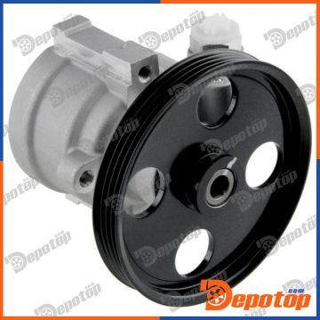 Pompe de direction assistée pour RENAULT | SPW-RE-013, 15-0144